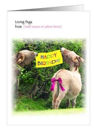 Donkey Birthday Greetings Cards