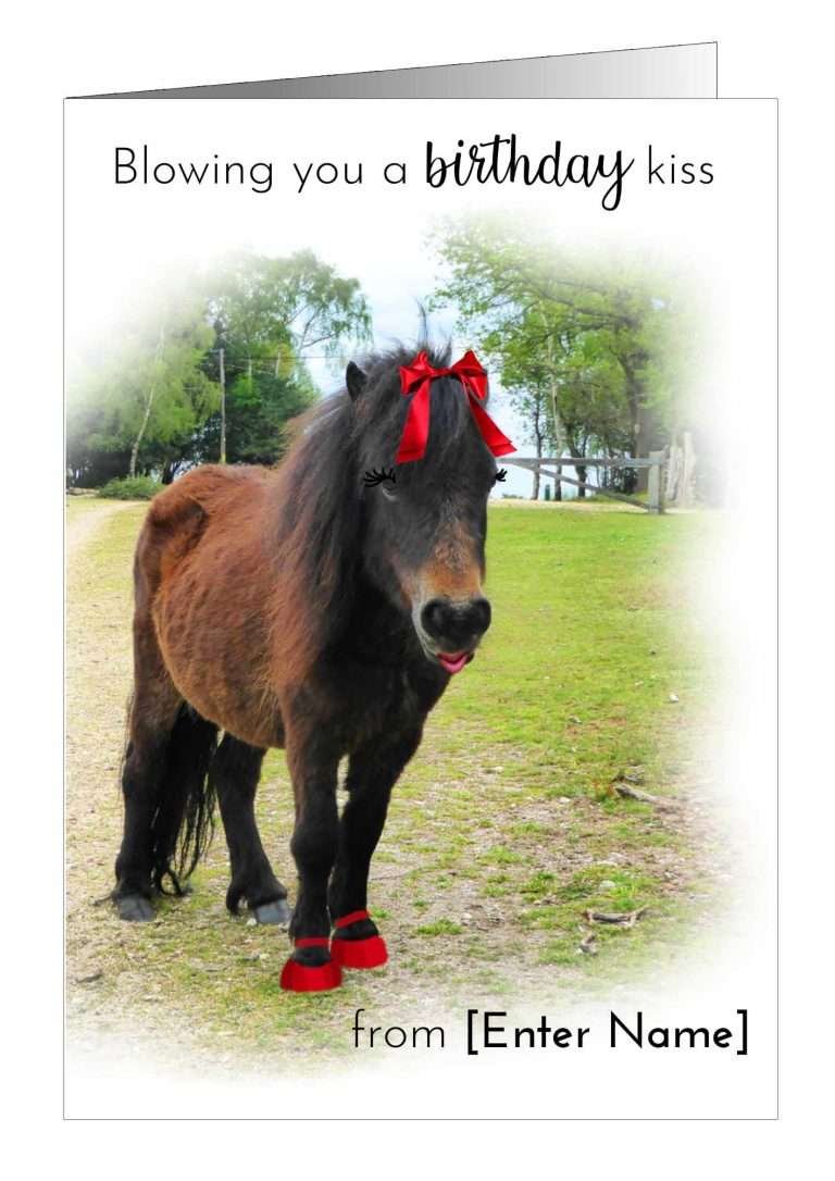 Donkey birthday card from Pet Cards