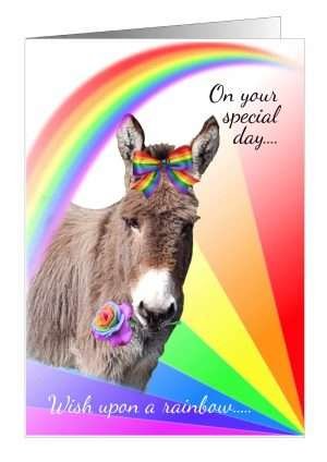 Donkey rainbow card from Pet Cards
