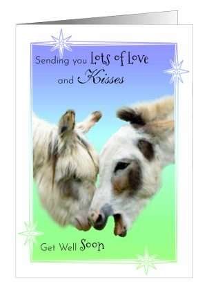Donkey get well cards from pet cards UK