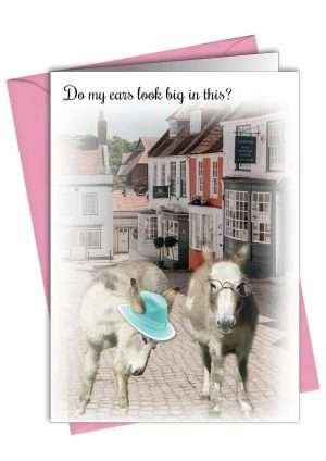 Just Because Card Donkeys