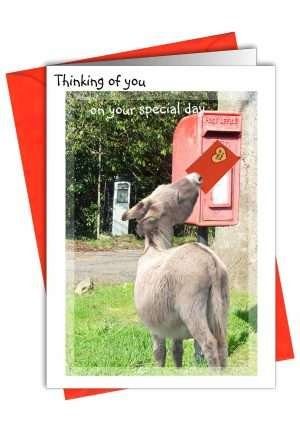 Donkey Thinking of You Greetings Card