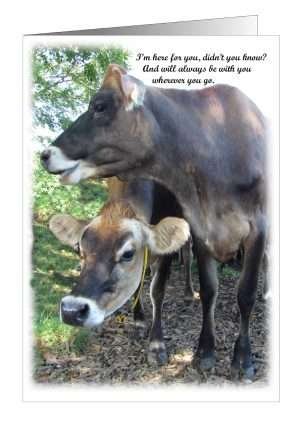 Cow friendship greetings card