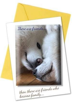 Dog friendship greetings card