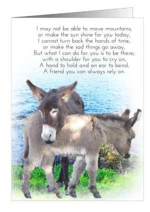 Friendship Donkey Card from Pet cards UK