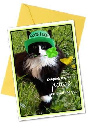 Cat Get Well Card