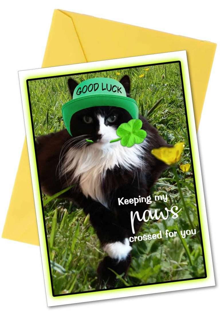 Cat Get Well Card