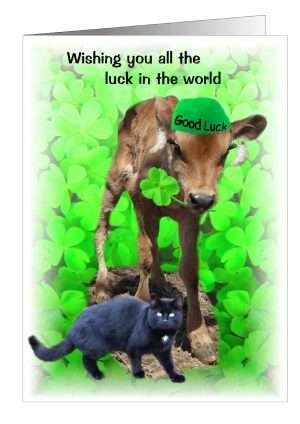 Cow and cat good luck cards