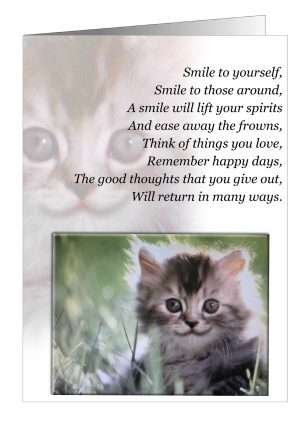 Inspirational Cat Greetings Card