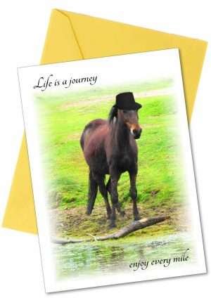 Inspirational horse card