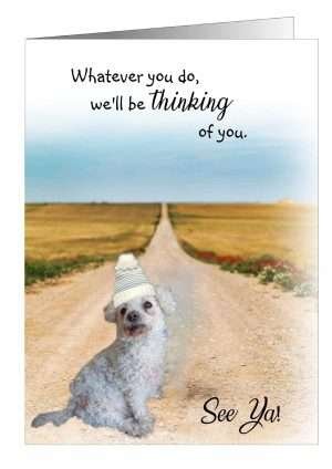 Dog leaving greetings cards
