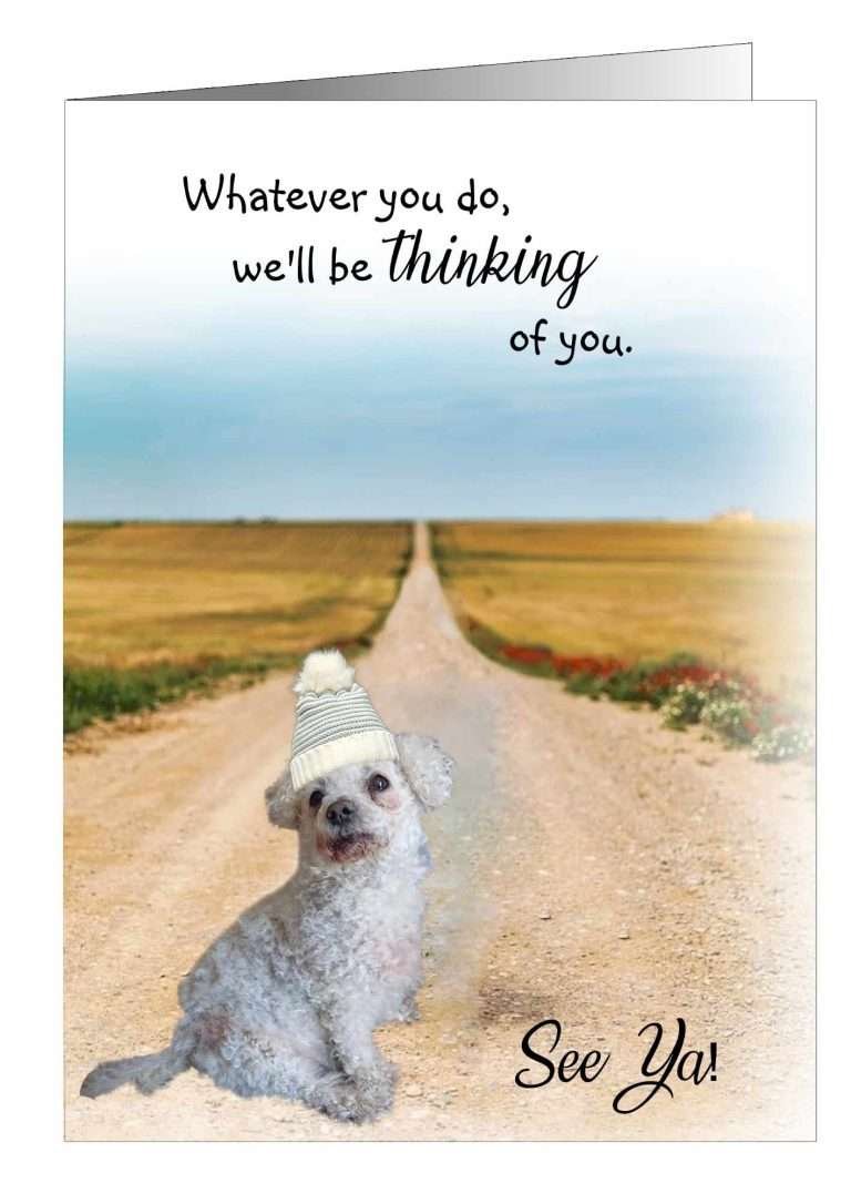 Dog leaving greetings cards