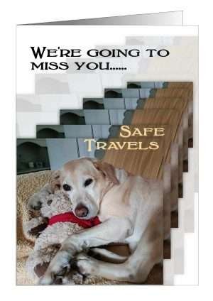 Dog Leaving Card from Pet Cards