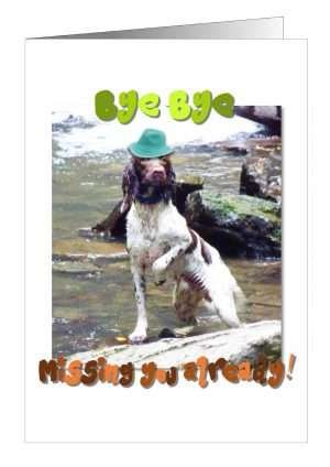 Pet Cards Bon Voyage Dog Card