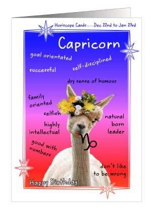 Birthday Horoscope Capricorn Llama