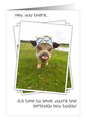 Birthday boy pig card from Pet Cards