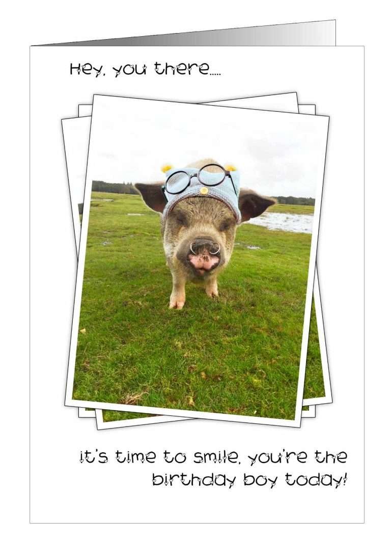 Birthday boy pig card from Pet Cards