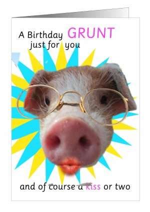 Pig birthday cards from Pet Cards