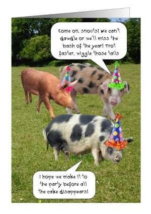 Pig birthday card from Pet Cards