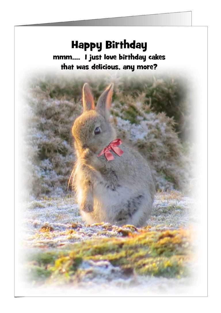 Rabbit birthday card from Pet Cards