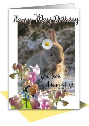 Rabbit card for May birthdays at Pet Cards UK