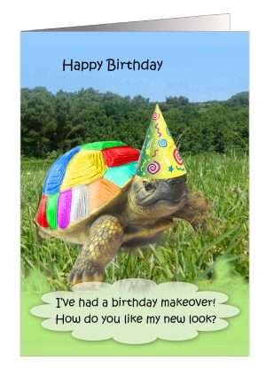 Tortoise birthday card from petcards.co.uk